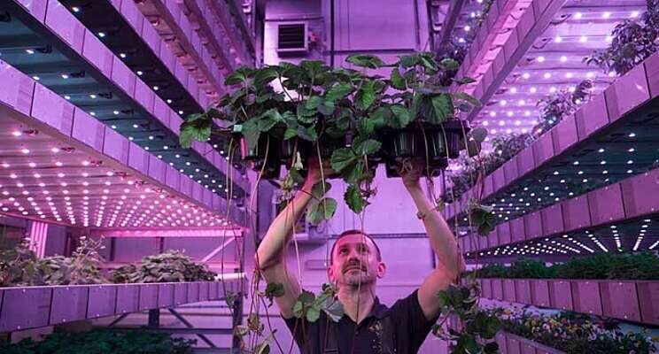 Vertical farming key element to growing