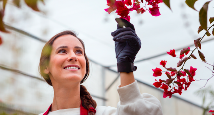 The pandemic gardening boom is just the beginning