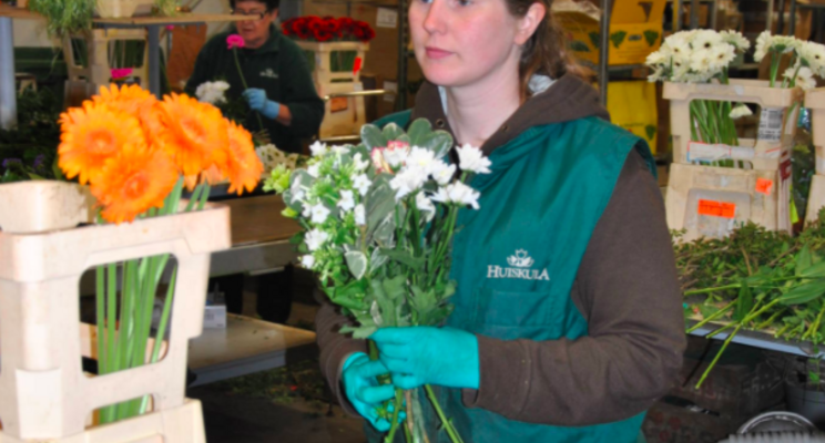 Nordic flower market steadily recovers