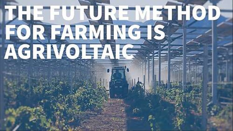 What is agrivoltaics? Solar energy and agriculture work together?