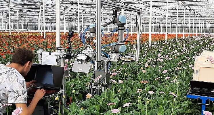 Harvesting robot uses scissors to harvest