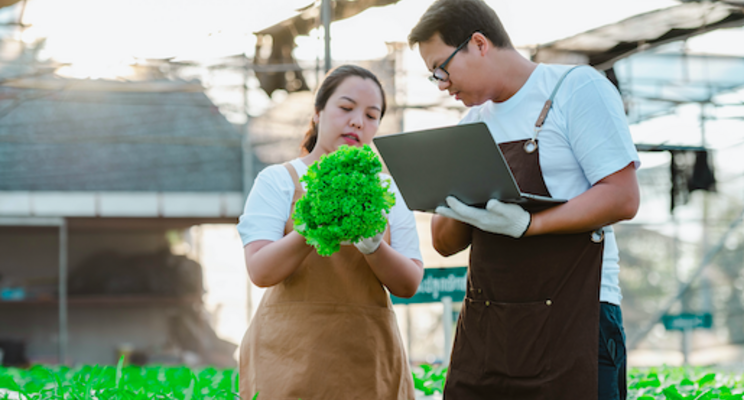 Chinese farmer invests in hydroponic farming