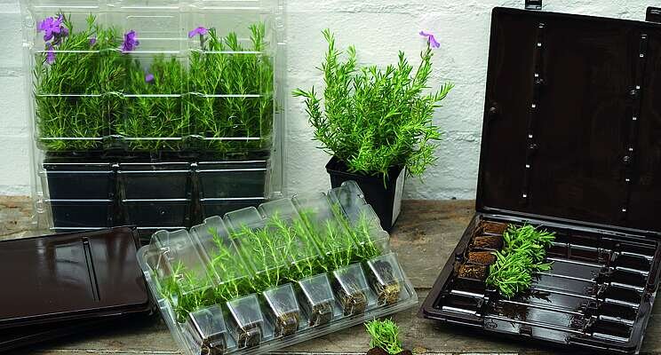 The green shoots of Spring need green packaging options