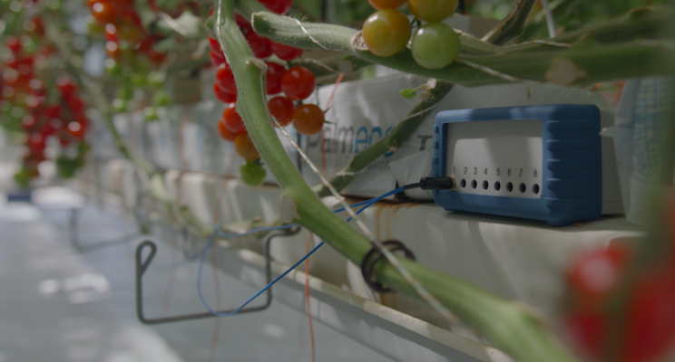 Indoor crop growing technology to be used worldwide