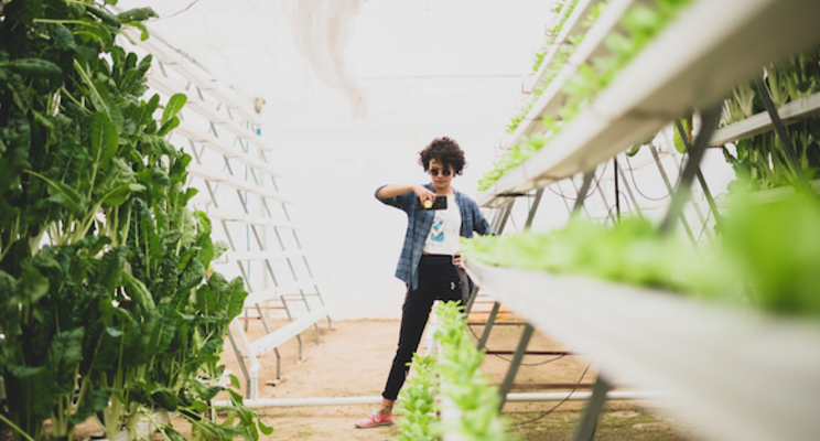 Indoor farm using refurbished containers, hydroponics