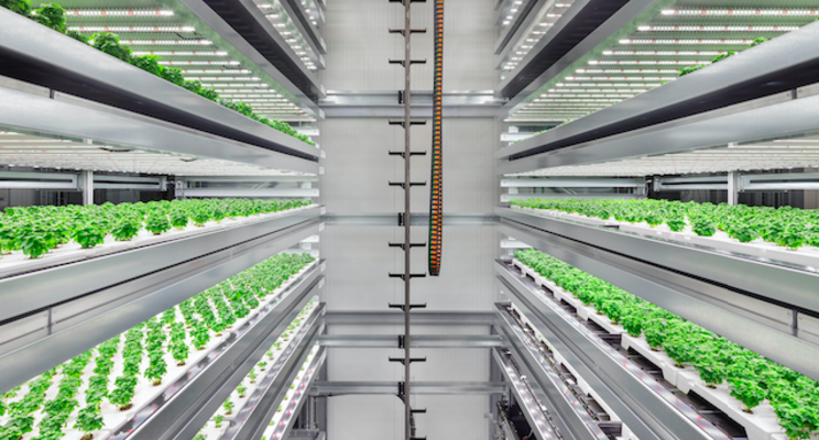 Square Roots opens fourth and largest indoor vertical farm