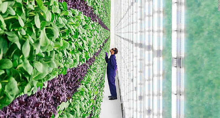 Walmart just invested big in vertical farming