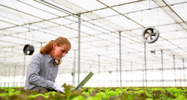 Connecting innovative women in agrifoodtech