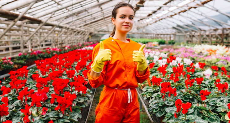 Researchers help CEA growers maximize water use