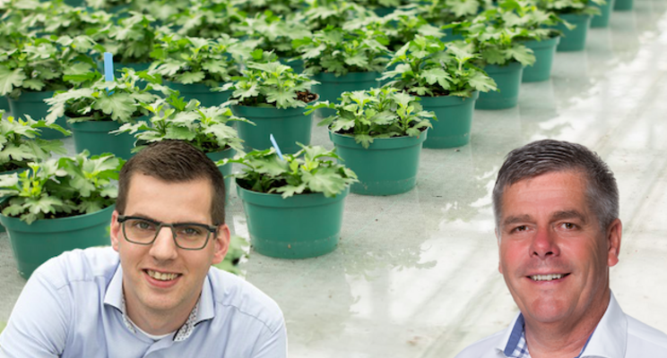 WEBINAR| To manage the demand of water in your greenhouse