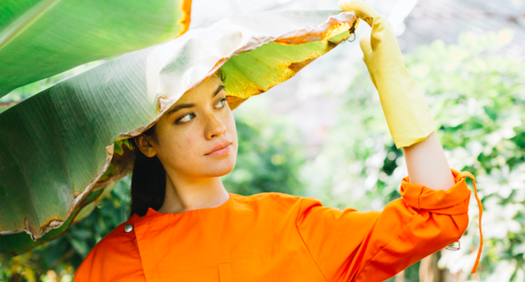 To feed a growing population, farmers look to the sun