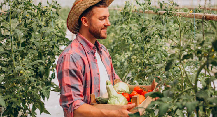 $227K to build year-round greenhouse in Calgary