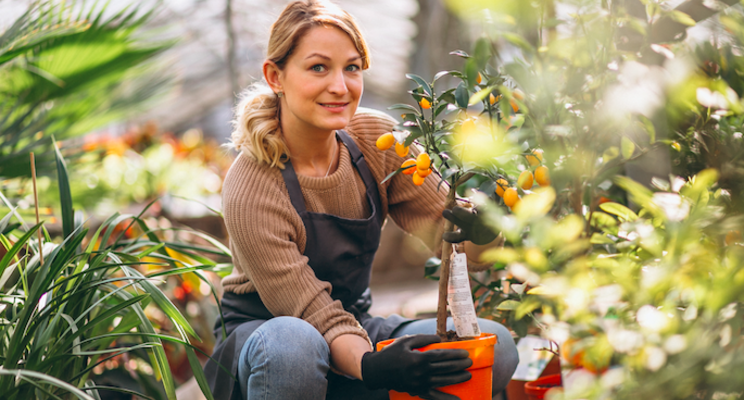 Which containers are most popular among growers?