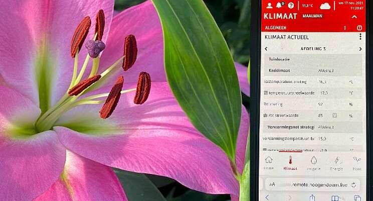 New climate computer for lily grower Maalman