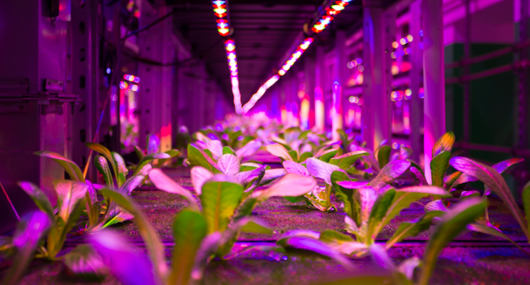 Future Crops brings vertical farming closer to the land 