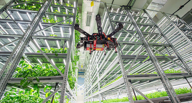 Vertical farms in a world of limited resources