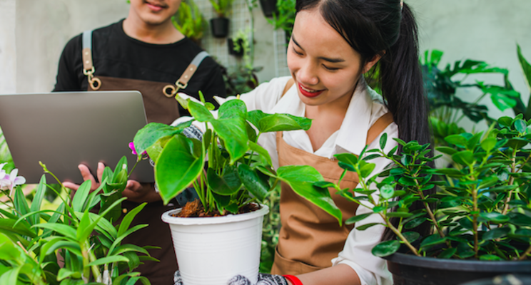 Webinar to address consumer houseplant purchasing trends