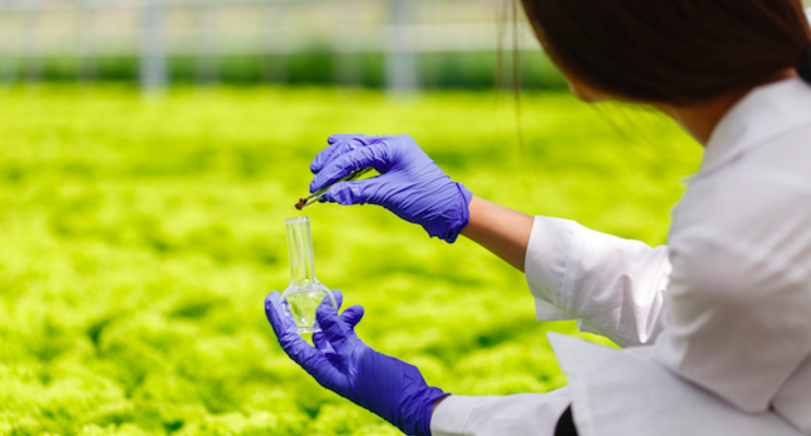 First dicamba-resistant waterhemp reported in Illinois