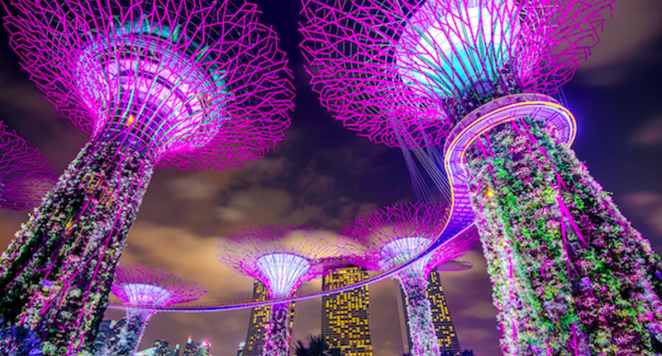 Singapore funds Signify for online horticultural center