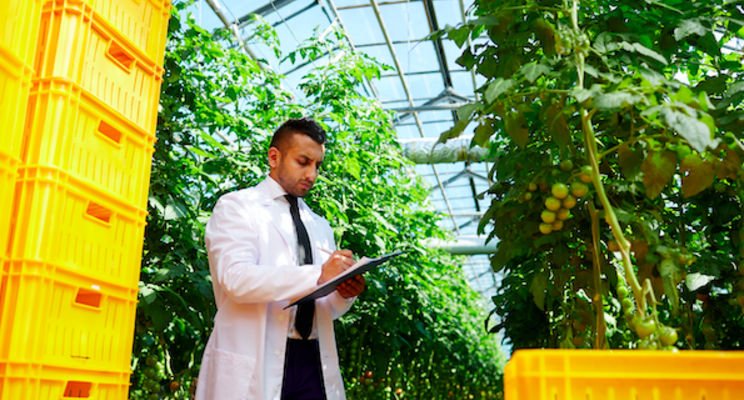 Is the future of farming moving indoors?