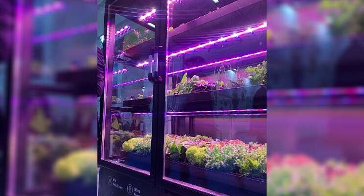 Vertical farming: Global markets to 2026