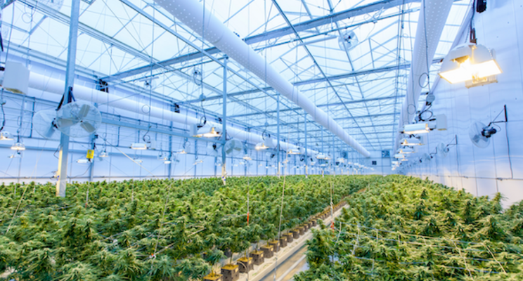 Vineland adds cannabis to research services