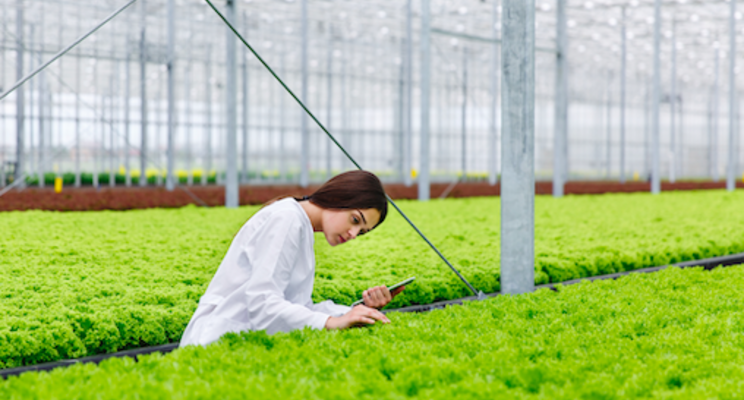 How soon will there be a robot in your greenhouse?