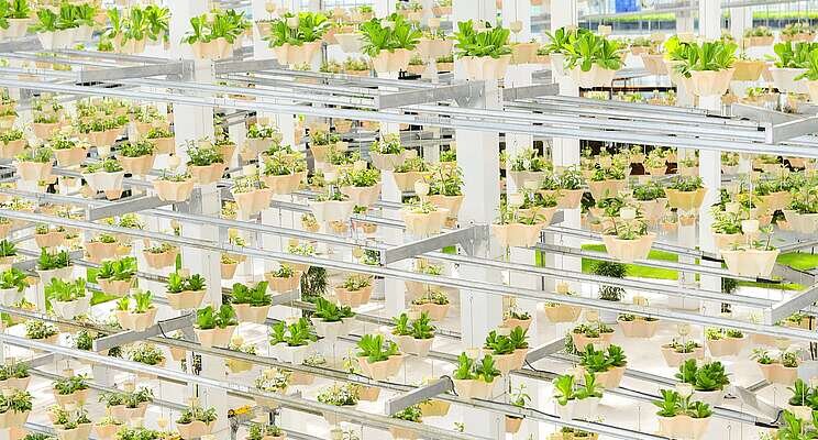 How vertical farming can supplement the food supply chain