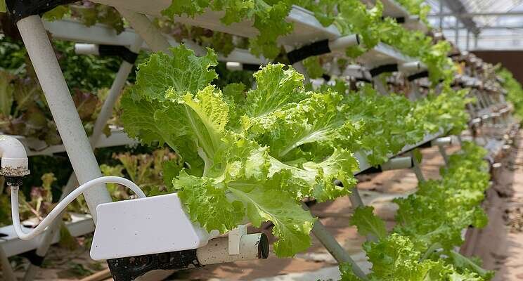 Growing agritech in the fields of North Yorkshire