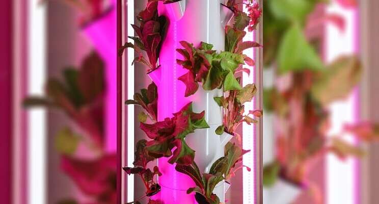 New automated vertical farm tech patented