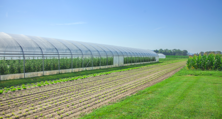 Greenhouse structures supplier GGS acquired by Pipp Horticulture