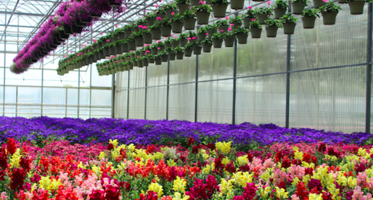 New payment solution for ornamental horticulture