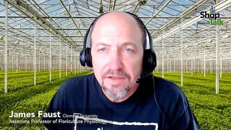 Location-specific considerations for greenhouse lighting