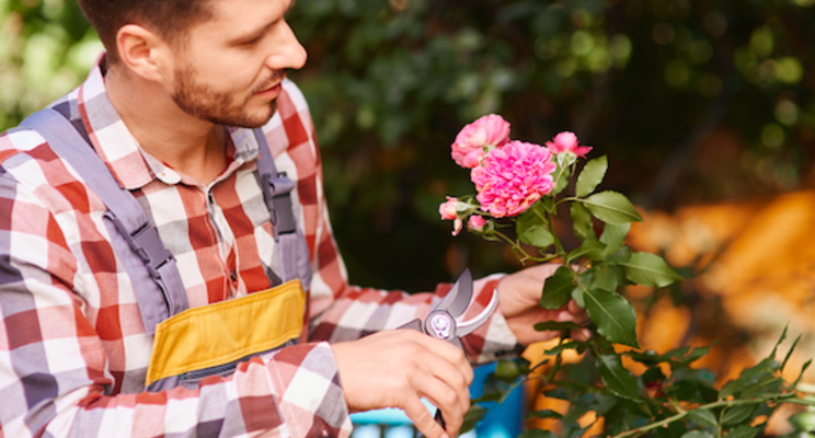 Cut flower farming: Is it right for you?