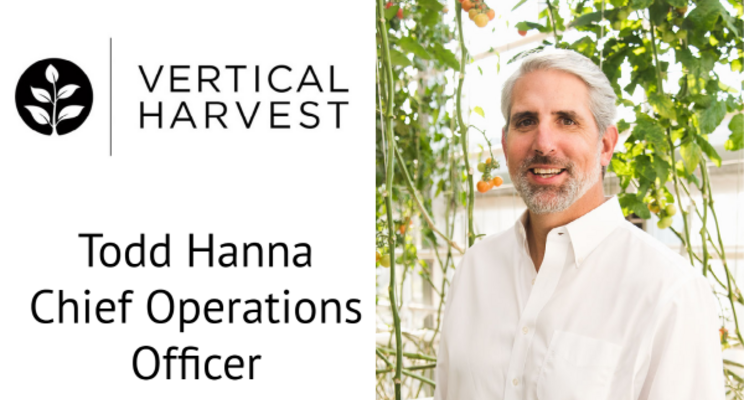 Vertical Harvest Farms appoints COO