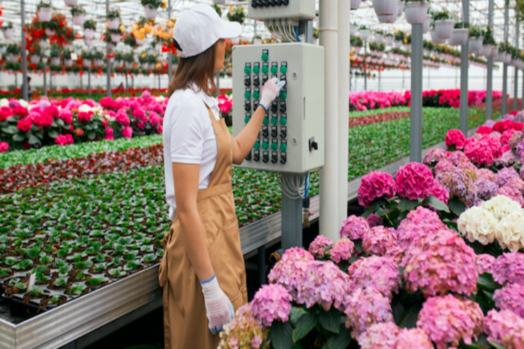 Greenhouse Tech: Environment control for small growers