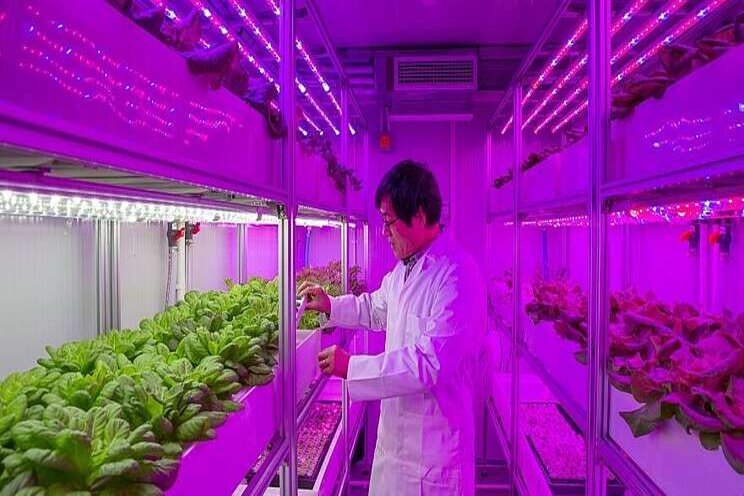 New vertical farms will tackle global food challenges