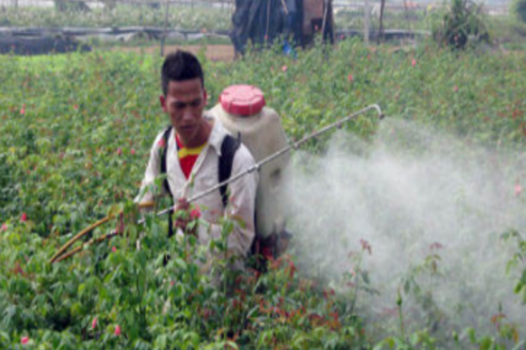 Fertilizers and agrochemicals use in Vietnam