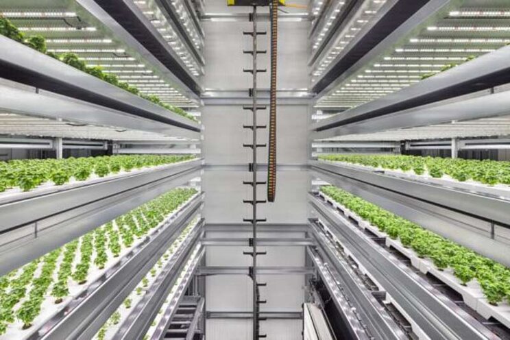 Infarm announces new vertical farming facility in Copenhagen