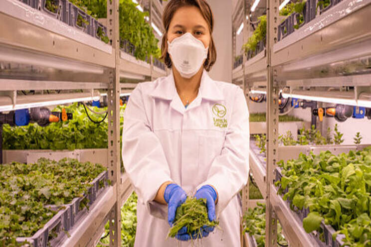 Women's Equality Day: Women in agriculture & vertical farming