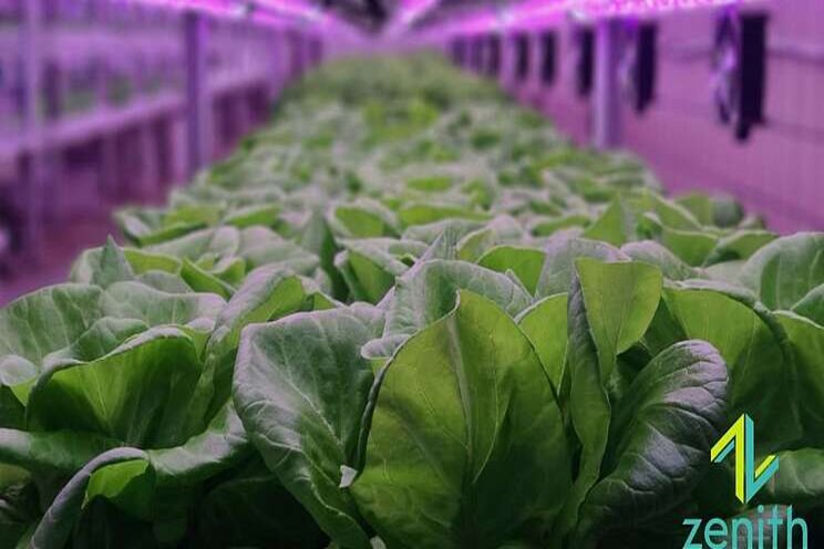 Vertical Farming Congress raises expectations