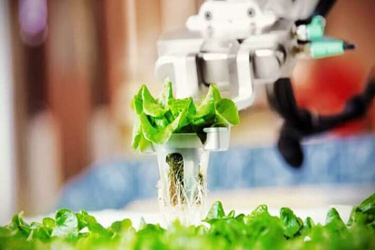 Yes, there's a robot that can save salad!