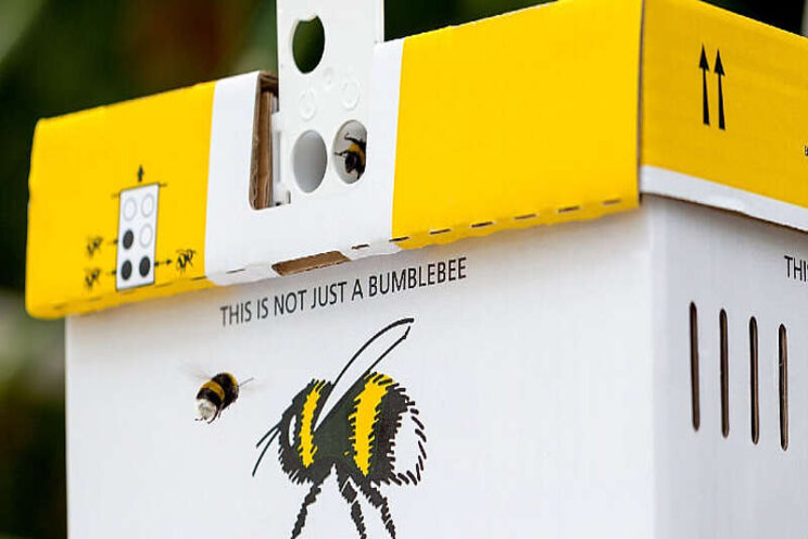 Bumblebee hives with a sustainable future