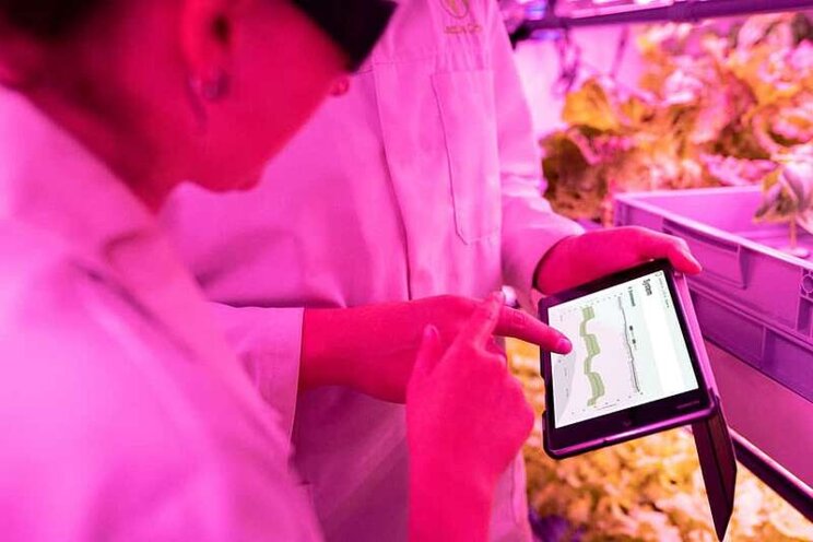 IoT and its impact on modern day agriculture