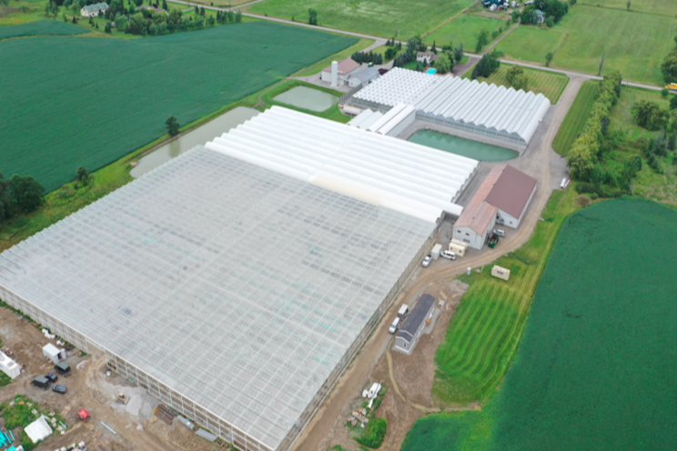 Foliera's strong future with their latest greenhouse