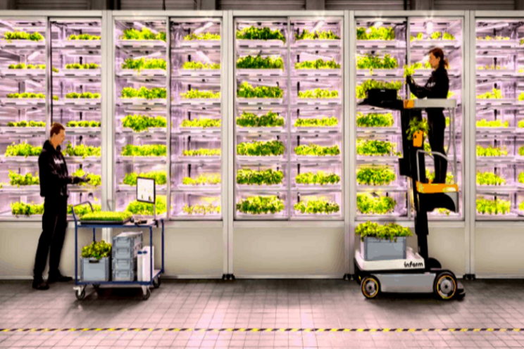 Infarm to open second vertical farm in The UK