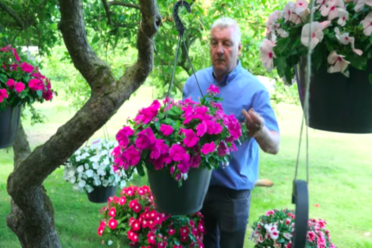 Videos highlighting new plant variety introductions