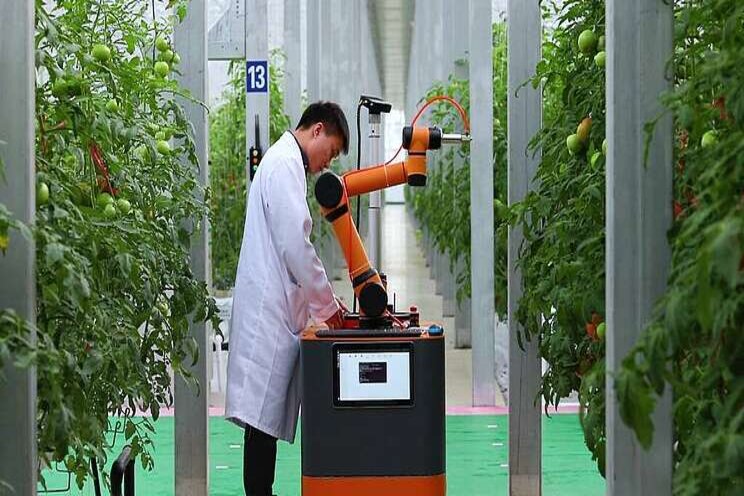 Pinduoduo launches 2021 Smart Agriculture Competition