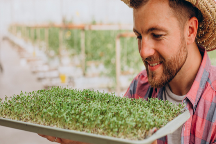 Harnessing the unique contribution of plant genetic