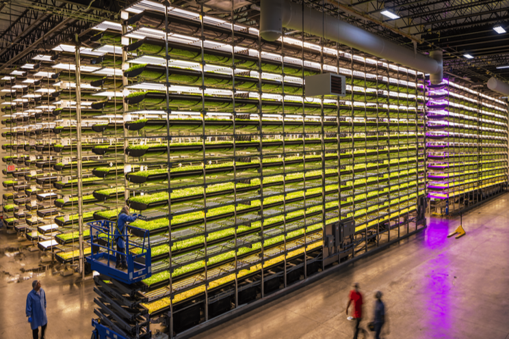 AeroFarms is trying to cultivate the future of vertical farming